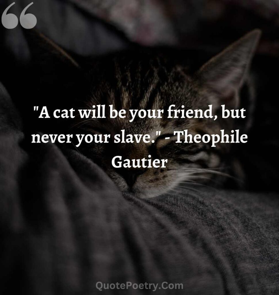 farewell death of cat quotes