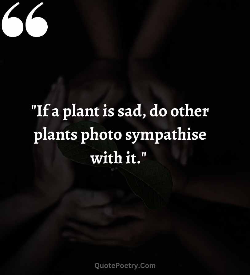 Short Cute Plant Quotes